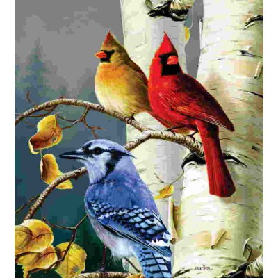 Les oiseaux    Lavette suédoise