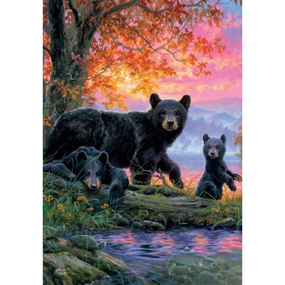 Bear Family