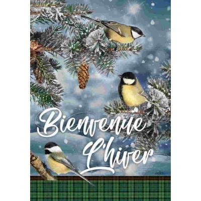 Bienvenue l'Hiver