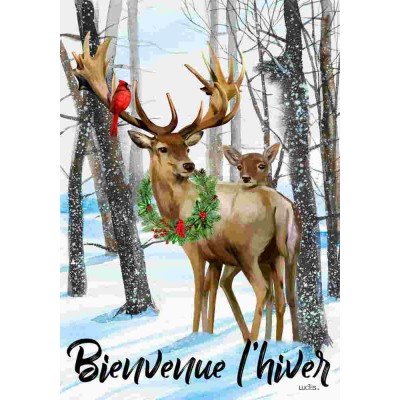 Bienvenue Chevreuil