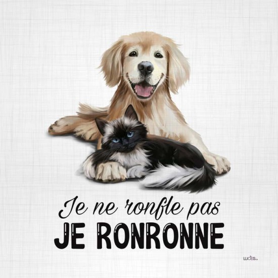 Coussins à texte citation Je ronronne
