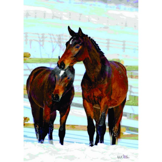 Les 2 chevaux d'Hiver