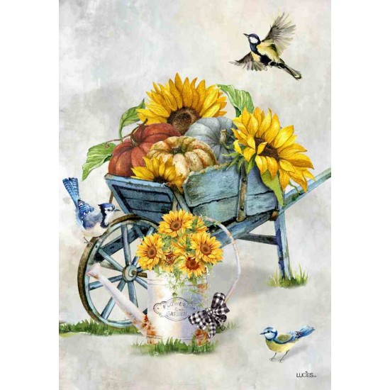 Brouette d'Automne