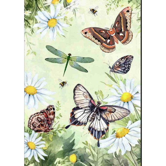 Les insectes 