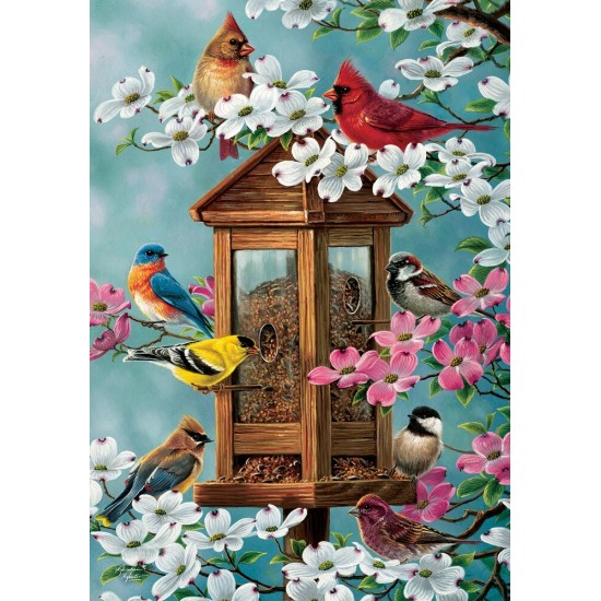 Songbird Feeder
