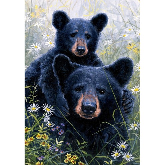 Black Bear Lookout