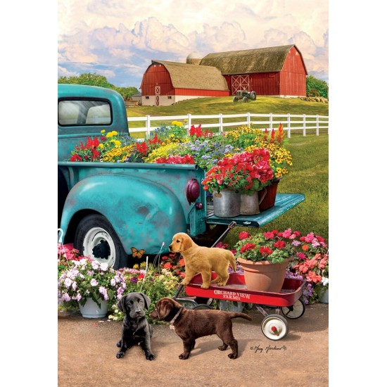 Farm Pups