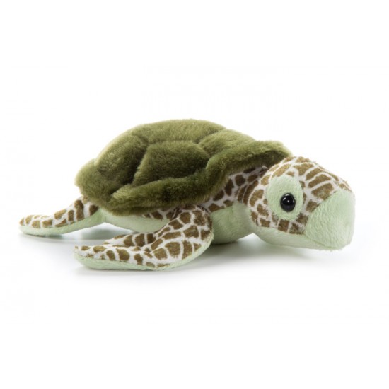 Tortue des mers   8''