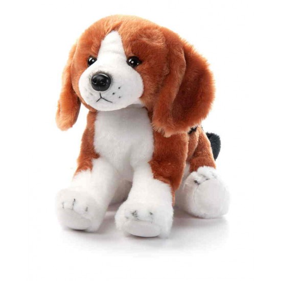 Chien Beagle 12''