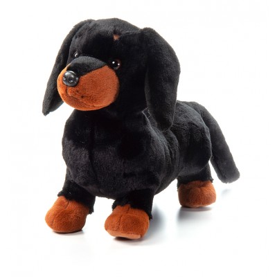 Chien Dachshund 12''
