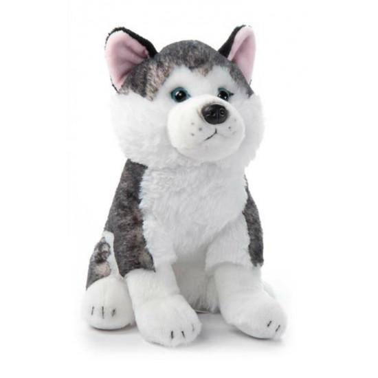 Chien Husky 12''