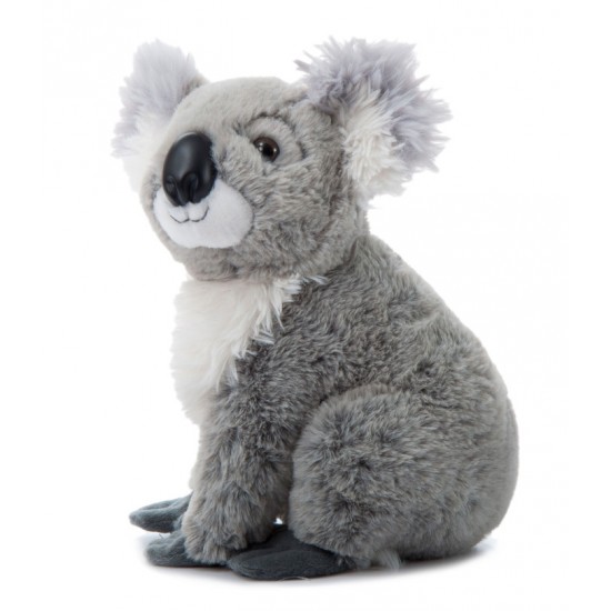 Wild Onez Koala 12''