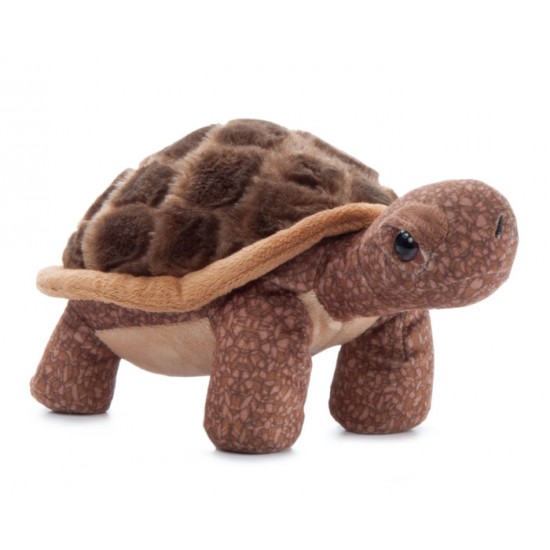 Wild Onez Tortue 9 ''