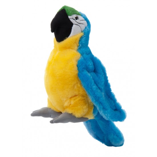 Wild Onez Ara Bleu et Jaune 12''