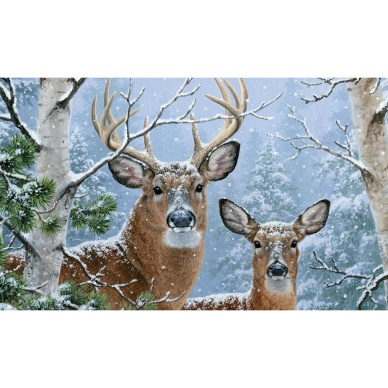 Winter Whitetail