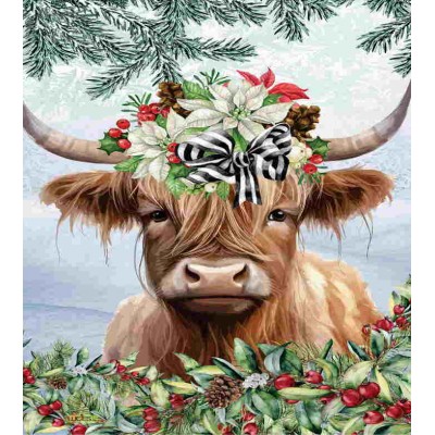 La vache Highland - Lavette suédoise