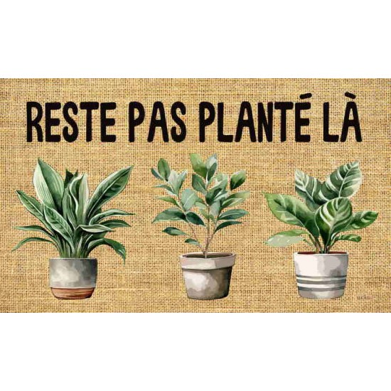 Reste pas planté là
