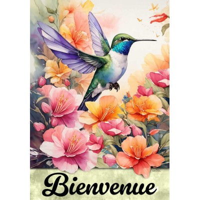 Bienvenue Colibri 