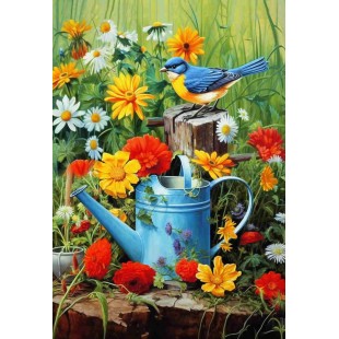 Merle bleu dans le jardin