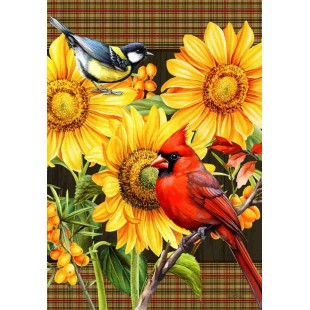 Cardinals rouges et tournesols