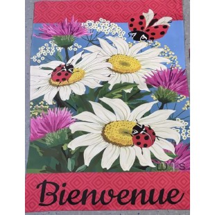 Marguerites et coccinelles