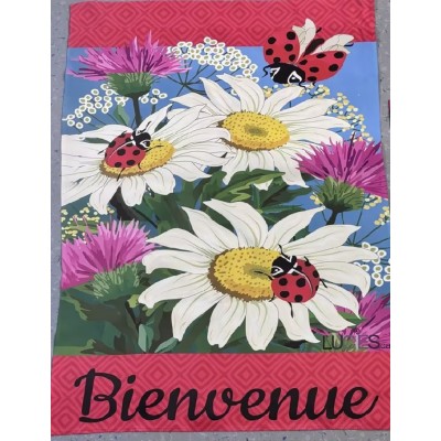 Marguerites et coccinelles