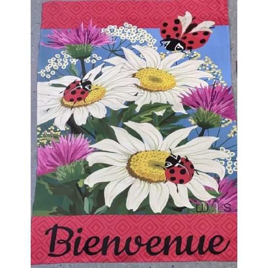 Marguerites et coccinelles