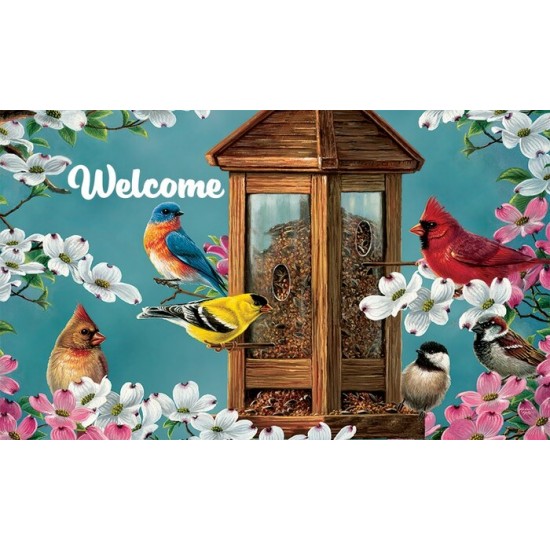 Songbird Feeder