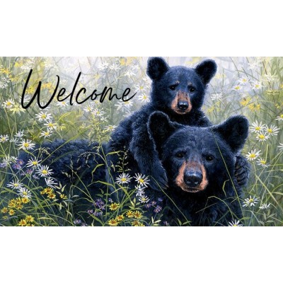 Black Bear Lookout