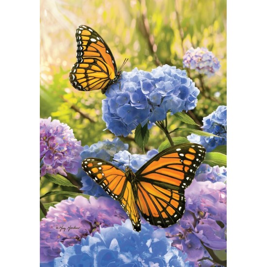 Monarch Hydrangeas 