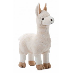 Wild Onez Lama 12