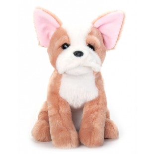 French Bulldog 12