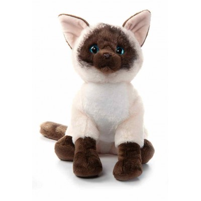 Siamese Cat 12