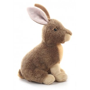 Wild Onez Hare 12