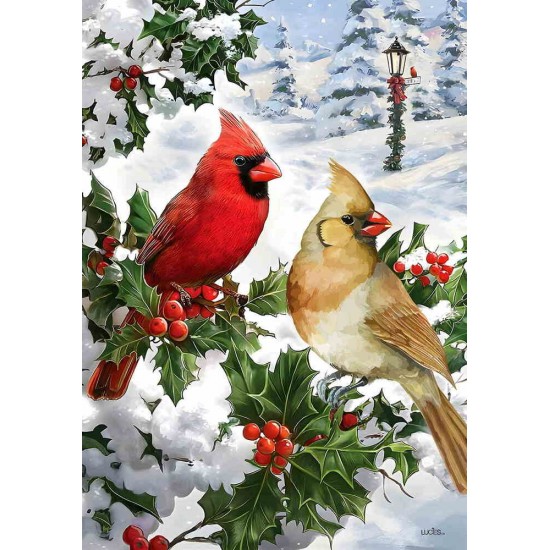 Couple de Cardinaux 