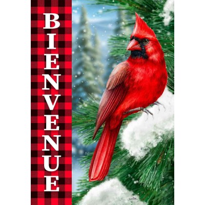 Bienvenue Cardinals Rouges