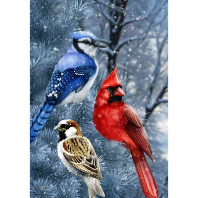 Oiseaux en hiver