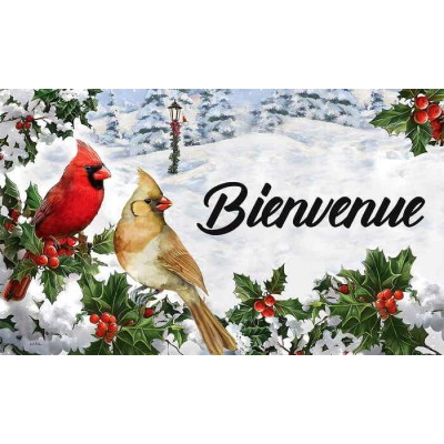 Bienvenue - Couple de cardinaux 
