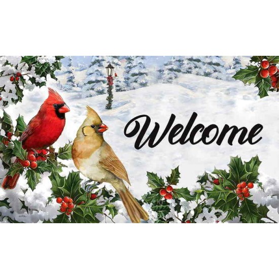 Welcome - Cardinals couple