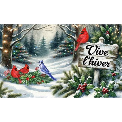 Vive l'hiver- Les oiseaux festifs Vive l'hiver- Les oiseaux festifs