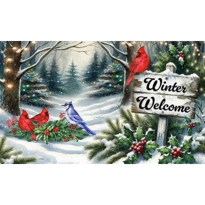 Winter Welcome-Festive Birds Winter Welcome-Festive Birds