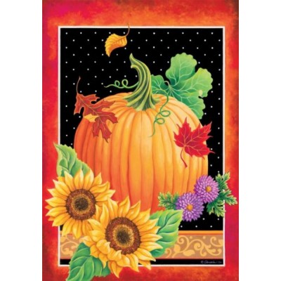 Pumpkin Still Life  Mini 12