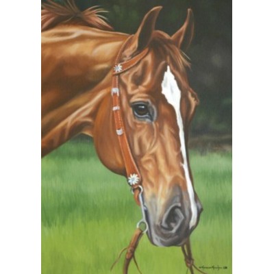 Handsome Horse Mini 12