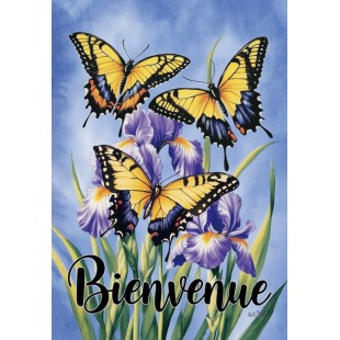 Bienvenue Les papillions 