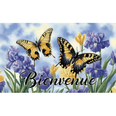 Bienvenue Les papillions 