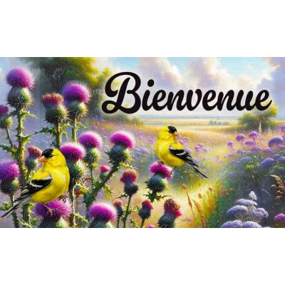 Bienvenue chardonnerets 