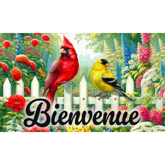 Bienvenue les oiseaux Bienvenue les oiseaux