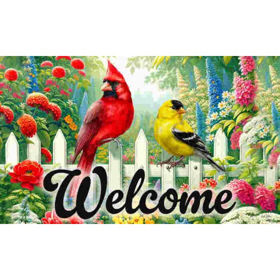 Welcome Birds 