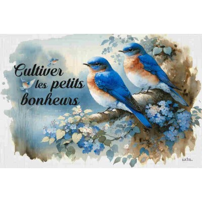 Cultiver les petits bonheurs...
