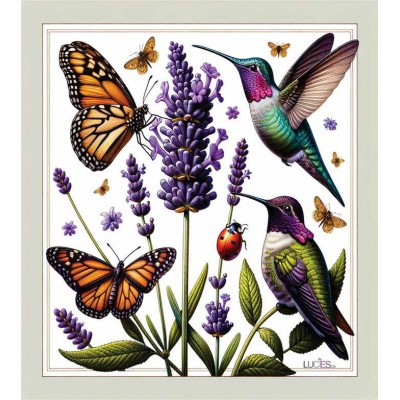 Papillons et Colibris   Lavette suédoise